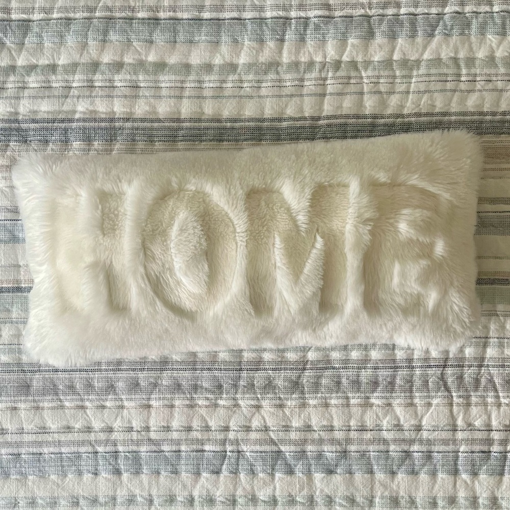 Pottery Barn HOME Pillow Insert and Sham